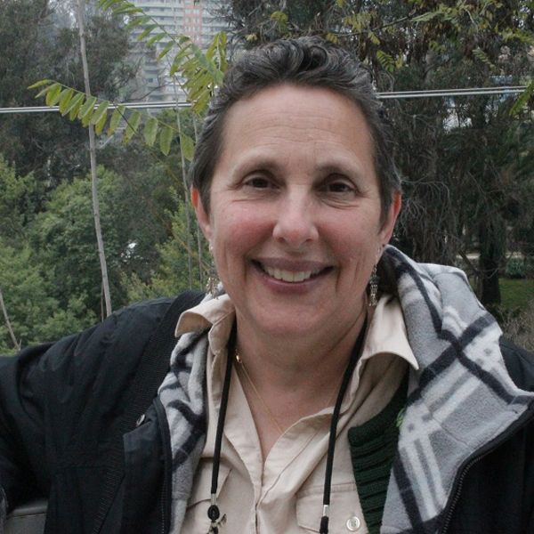 Lee más sobre el artículo Entrevista: Mara Sapon-Shevin: “Para mejorar la convivencia escolar tienes que enseñar cómo ser un ser humano bueno”