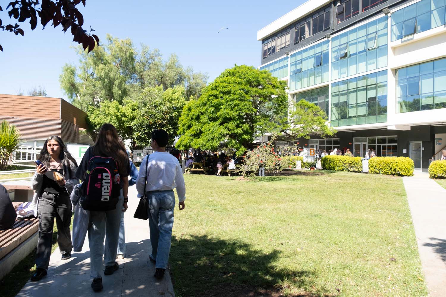 Lee más sobre el artículo Escuela de Psicología PUCV avanza en la renovación de su malla curricular